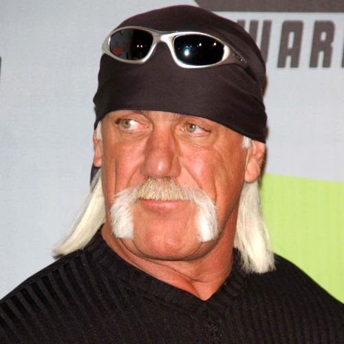 Retro Horseshoe moustache